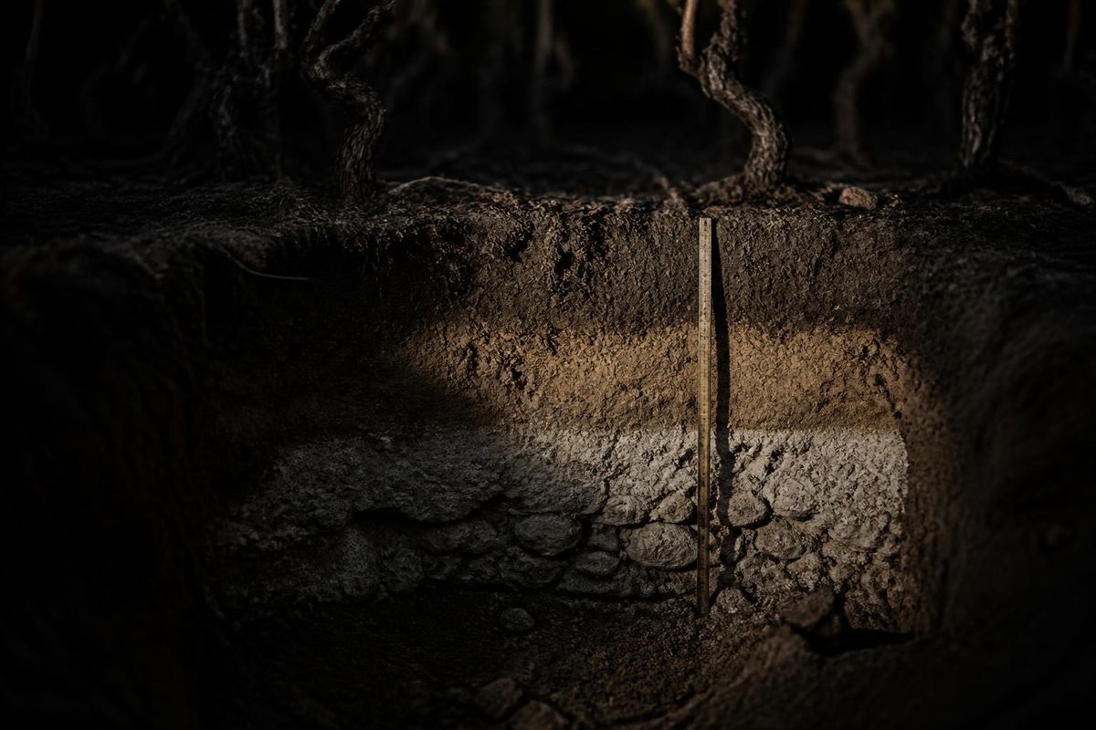 A soil pit dug between vine rows showing layers of clay, limestone and stone, with a folding rule for scale