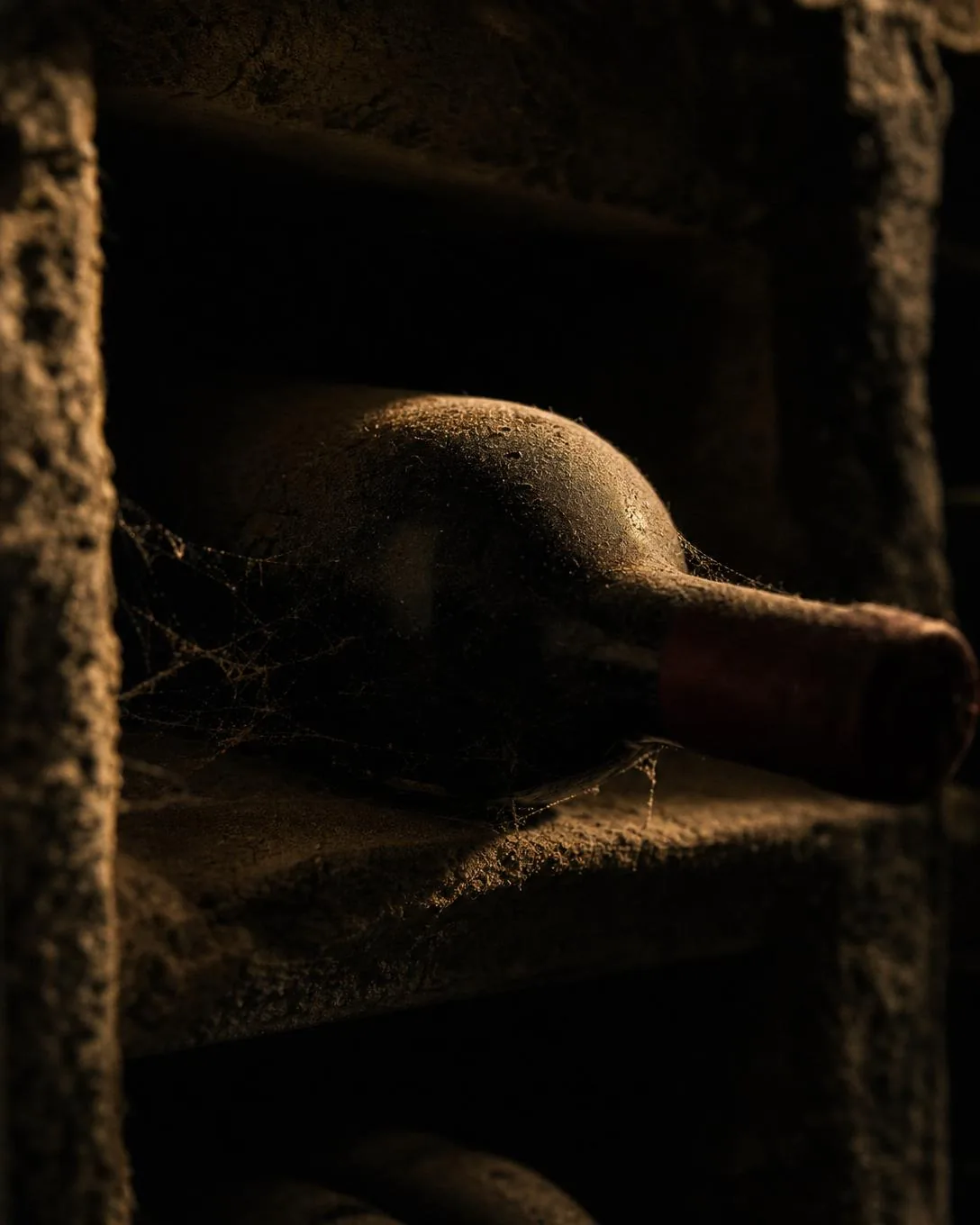 Una sola botella tumbada en un botellero de piedra, casi a oscuras, cubierta de pátina de bodega.