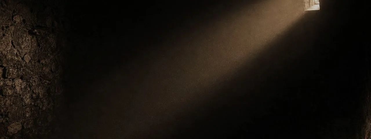 A dark cellar, on why light damages wine and a great cellar stays dark.