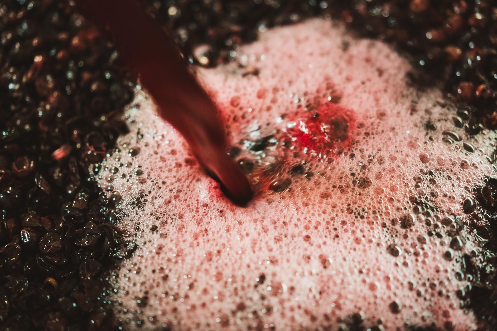 The jet of a pumping-over breaking the cap of fermenting fruit in low light at Domaine Kuheiji, October 2021.